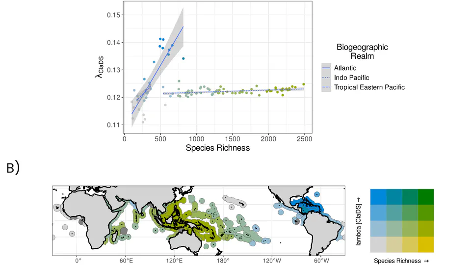 Unravelling the Roles of Recent Speciation and Trait Evolution in Shaping the Longitudinal Gradient of Tropical Reef Fish Diversity