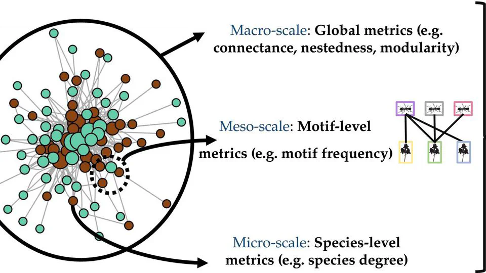Telling mutualistic and antagonistic ecological networks apart by learning their multiscale structure