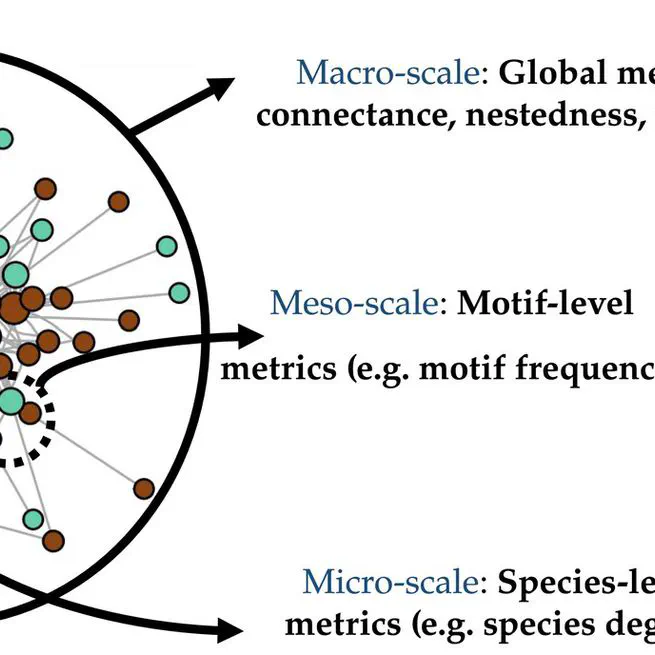 Telling mutualistic and antagonistic ecological networks apart by learning their multiscale structure