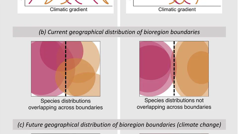 Biogeographical Regions and Climate Change: Lanternfishes Shed Light on the Role of Climatic Barriers in the Southern Ocean