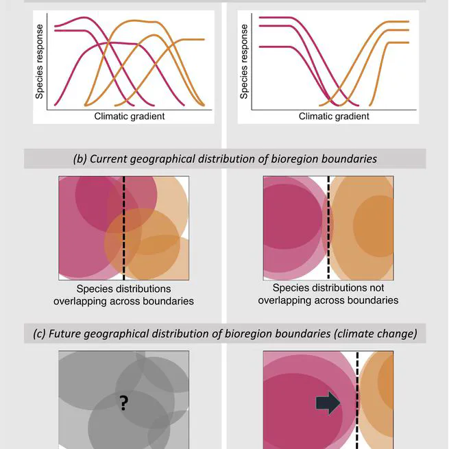 Biogeographical Regions and Climate Change: Lanternfishes Shed Light on the Role of Climatic Barriers in the Southern Ocean